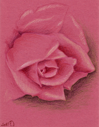 rose